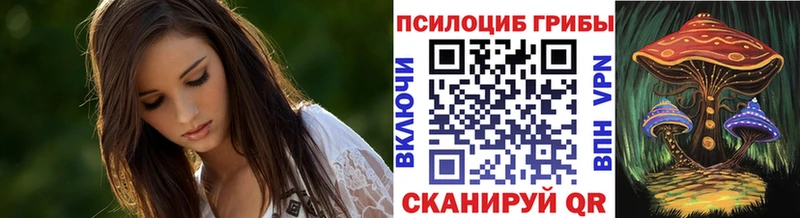Галлюциногенные грибы мухоморы  Холм 